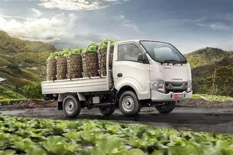 Isuzu Traga 2024 Isuzu Traga kargo luas untuk logistik