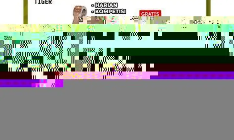 Kruk As Honda Tiger Kruk as Tiger untuk modifikasi stroke up